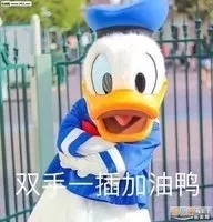 8463